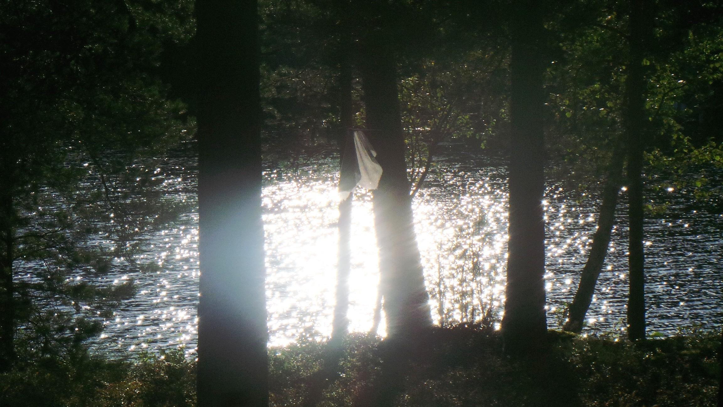 järvi auringonlasku