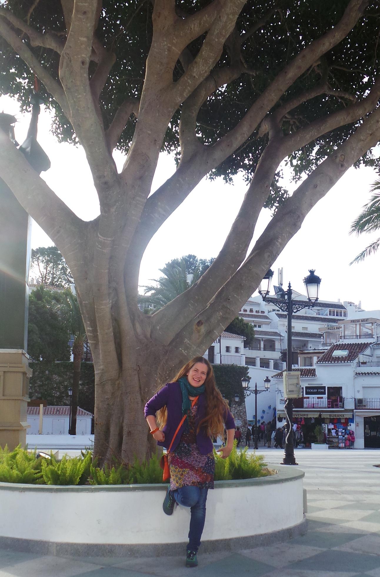 mijas aukio