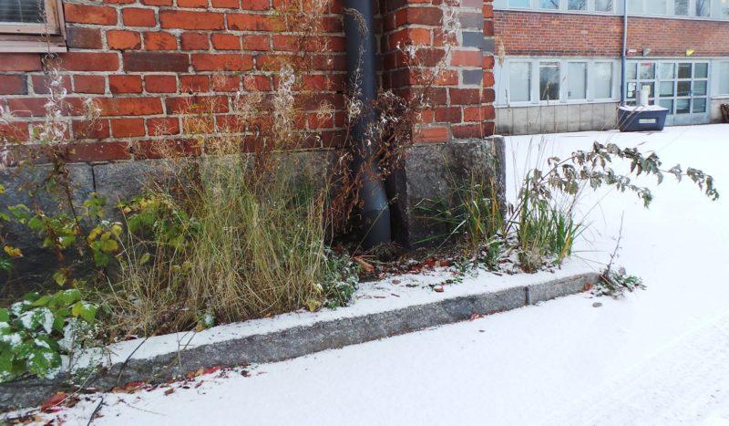 Altistuuko perheesi radon-säteilylle?